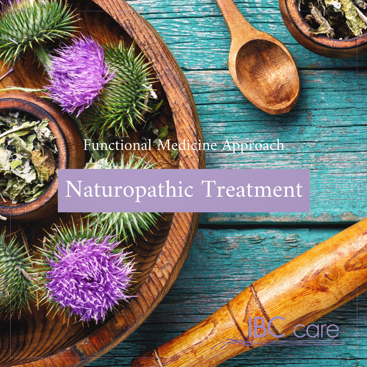 Naturopathy – Functional Medicine Approach